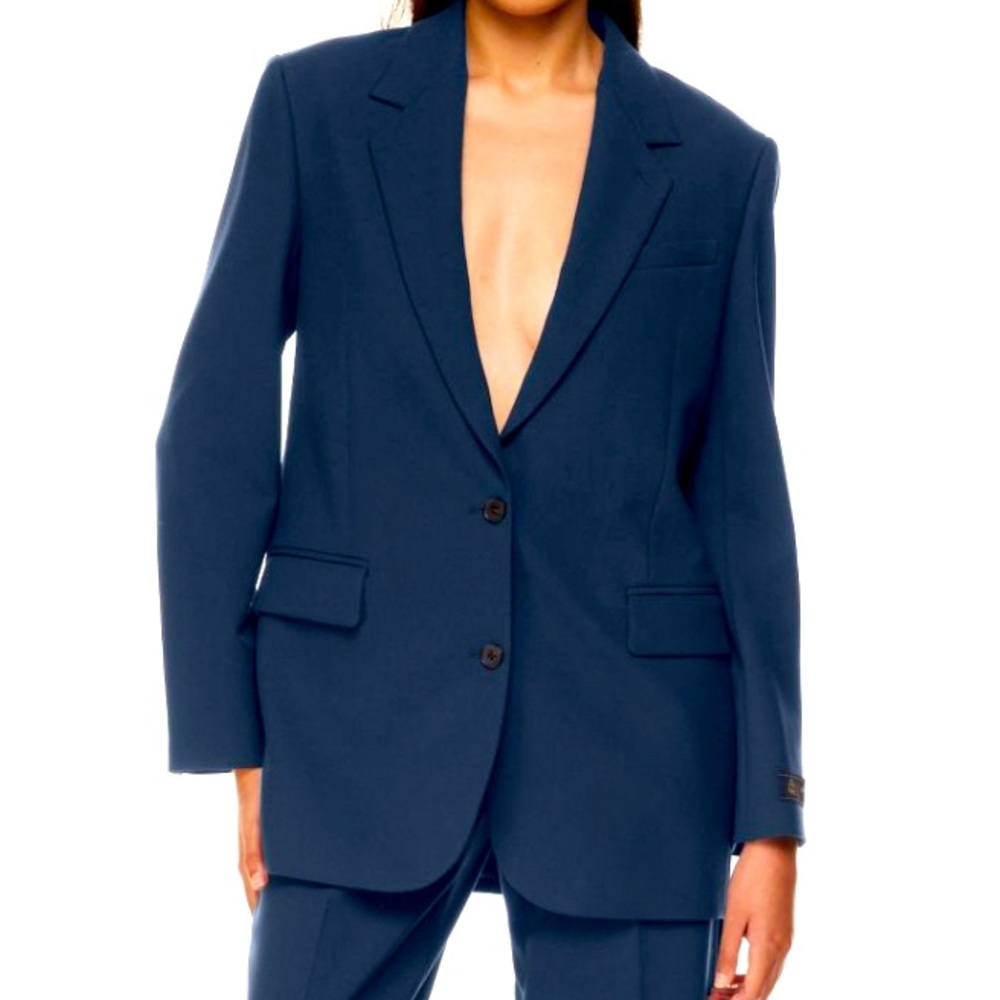 Aritzia Babaton New Agency Blazer